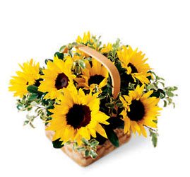 Sunflower Basket from Olney's Flowers of Rome in Rome, NY